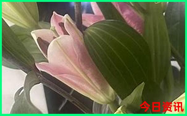 济宁游玩十大景点推荐