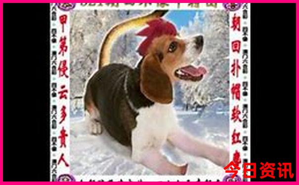 暑假去那里旅游好